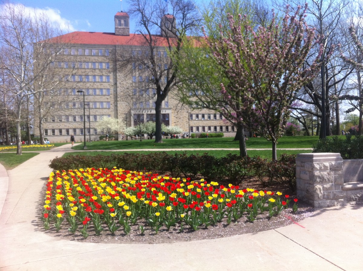 Fraser Hall Photo Mar 28, 2 00 44 PM